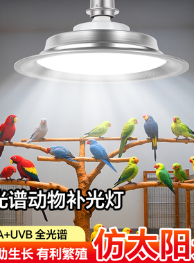 动物生长灯鸟类鹦鹉鸽子补钙繁殖灯宠物猫狗禽畜养殖场专用补光灯