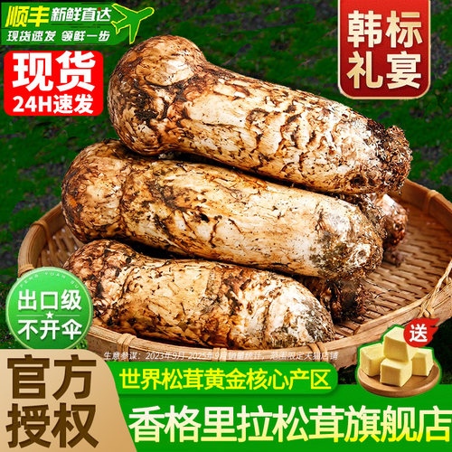 正宗香格里拉新鲜松茸官方旗舰店