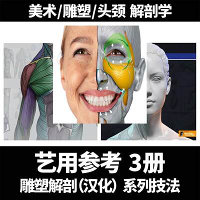 艺用人体结构肌肉表现雕塑解剖学头颈骨骼绘画速写素描临摹素材