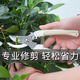 园艺剪刀花卉绿植物园林花剪修枝剪采摘果树专用工具花艺剪刀神器
