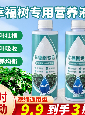 幸福树专用肥料营养液治落叶黄叶黑斑室内盆栽绿植物叶子干枯通用
