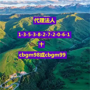 2026企业法人员提供随时安排法人代理法定代表人咨询服务