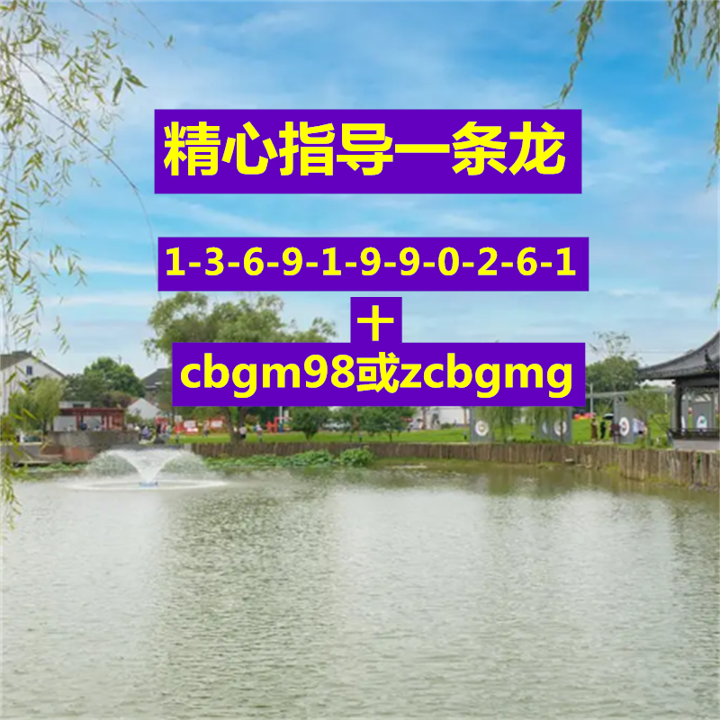 精心指导一条龙百晓翁