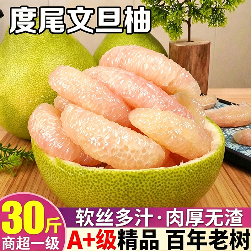 正宗福建仙游度尾文旦柚