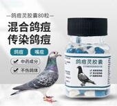 鸽痘灵鸽子药胶囊专用治疗预防鸽子鸟类嘴痘脚痘鸽痘鸟药用品大全
