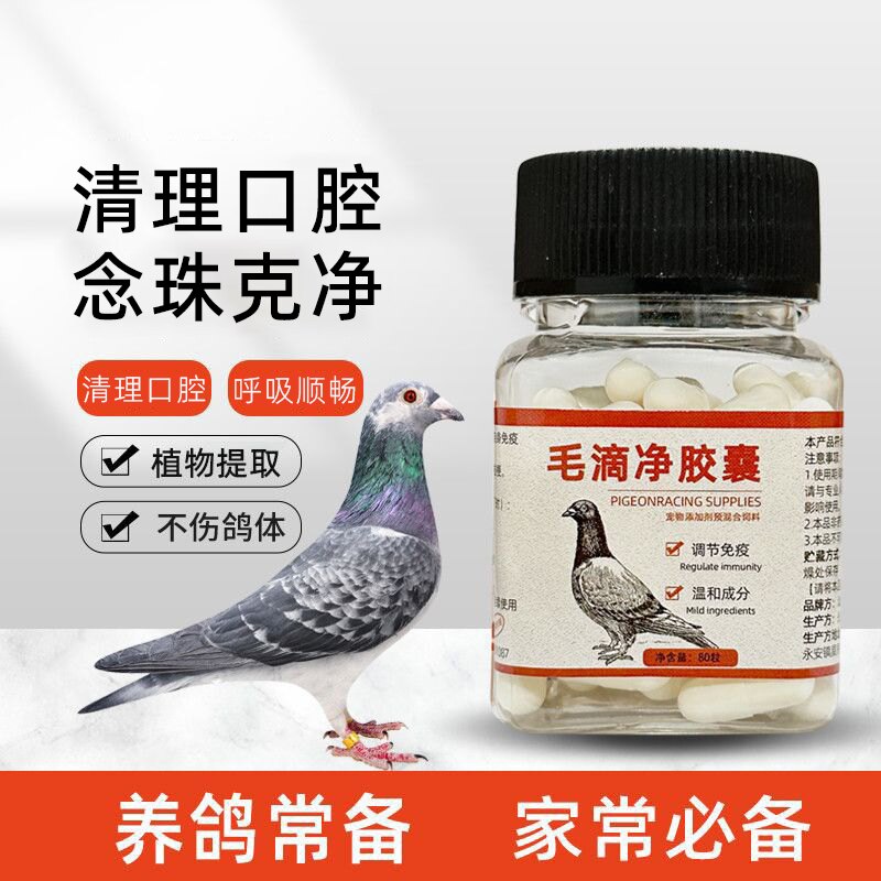 鸽子呼吸念珠克净二合一清理口腔鸽子鹦鹉鸟用鸽子用品专用
