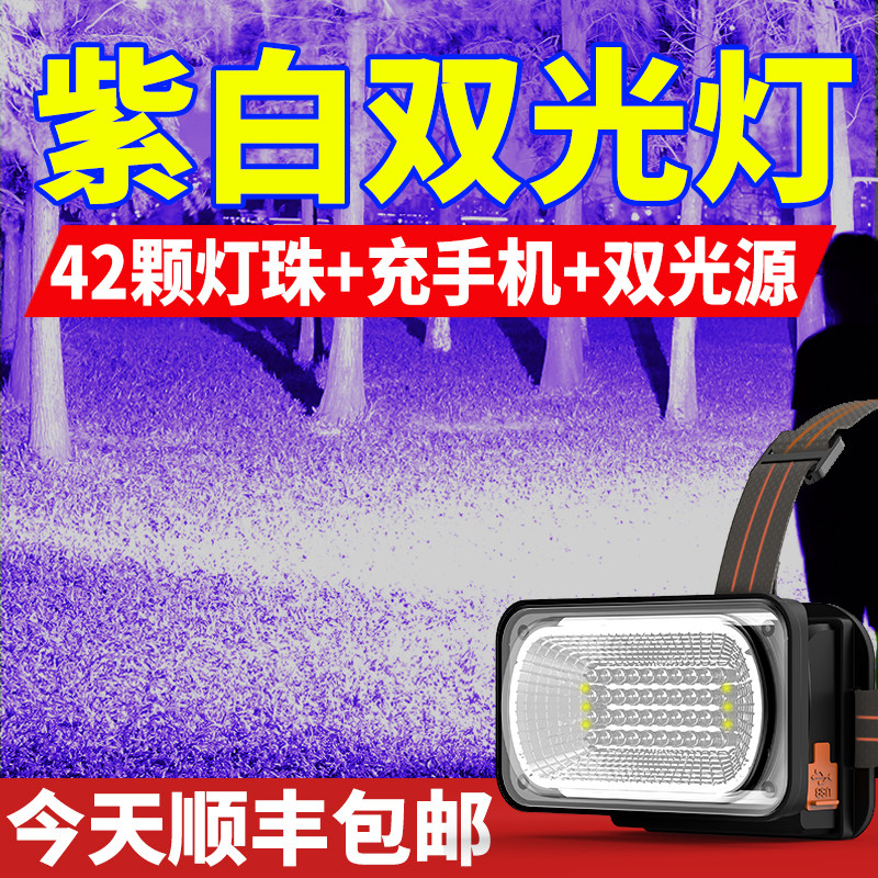 紫光照蝎子灯头灯强光超