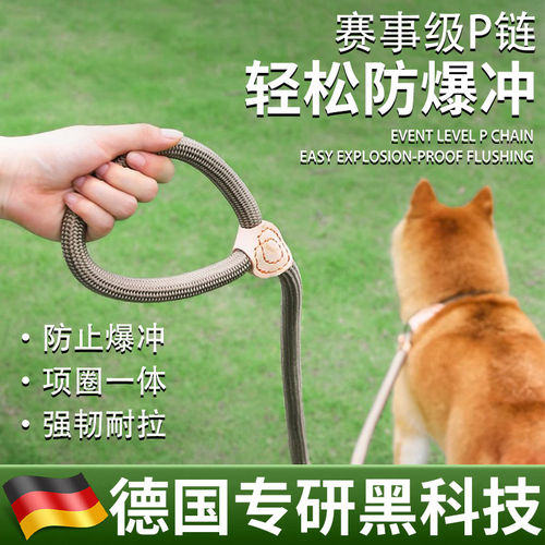 狗狗绳子防爆冲P链遛狗牵引绳防挣脱狗链子中大型犬防爆冲拴狗绳