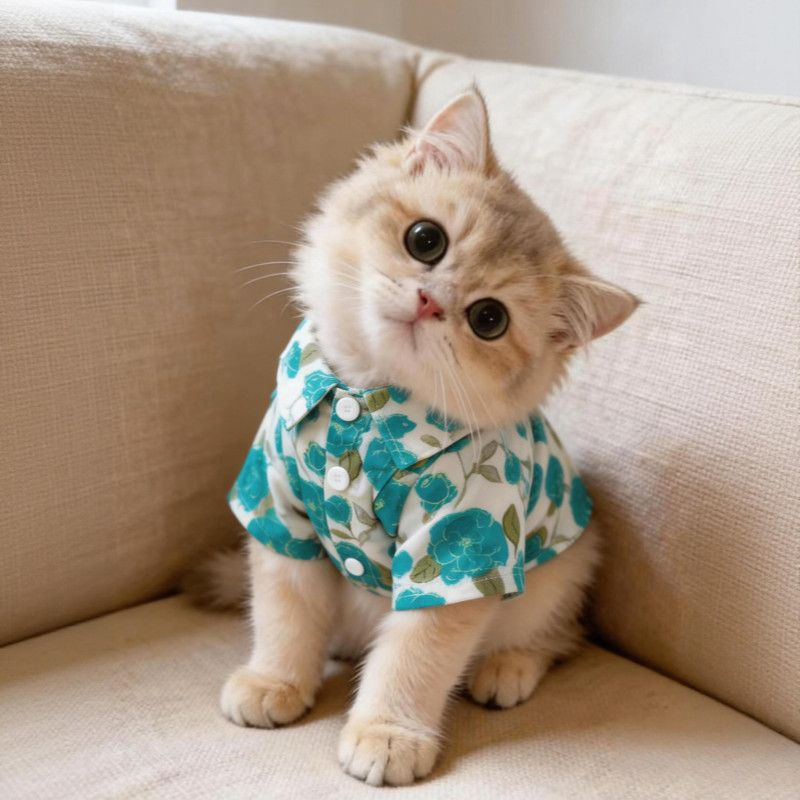 猫咪衣服夏季透气衬衫韩系金银渐层防掉毛小猫宠物狗狗薄款衬衫