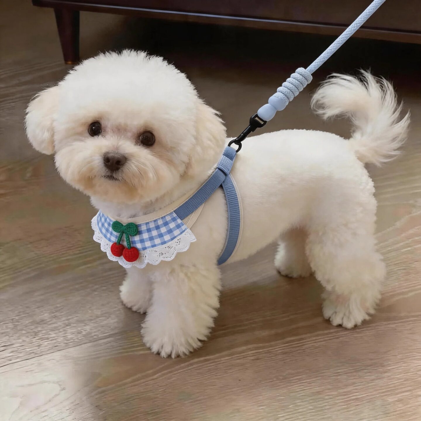 狗狗牵引绳遛狗链子小型犬专用猫咪胸背带泰迪博美比熊小狗牵狗绳图片
