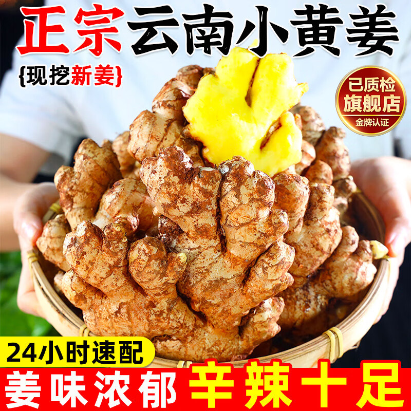 正宗云南小黄姜旗舰店姜香味浓蔬菜辛辣2025新新鲜生姜去腥