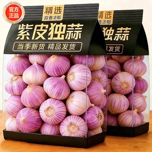 紫皮大蒜蒜头干蒜独头蒜农家自种云南红皮蒜优质糖蒜大蒜头独头蒜