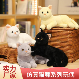 可爱小猫毛绒玩具儿童陪睡玩偶家居摆件厂家 仿真猫咪公仔趴款