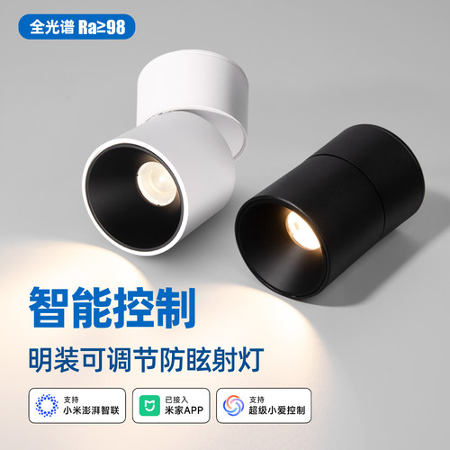 已接入米家APP智能-明装射灯