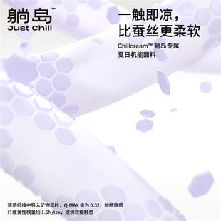 躺岛猫肚皮枕专用枕套温和凉感抑菌面料紫色夏季单人枕头套