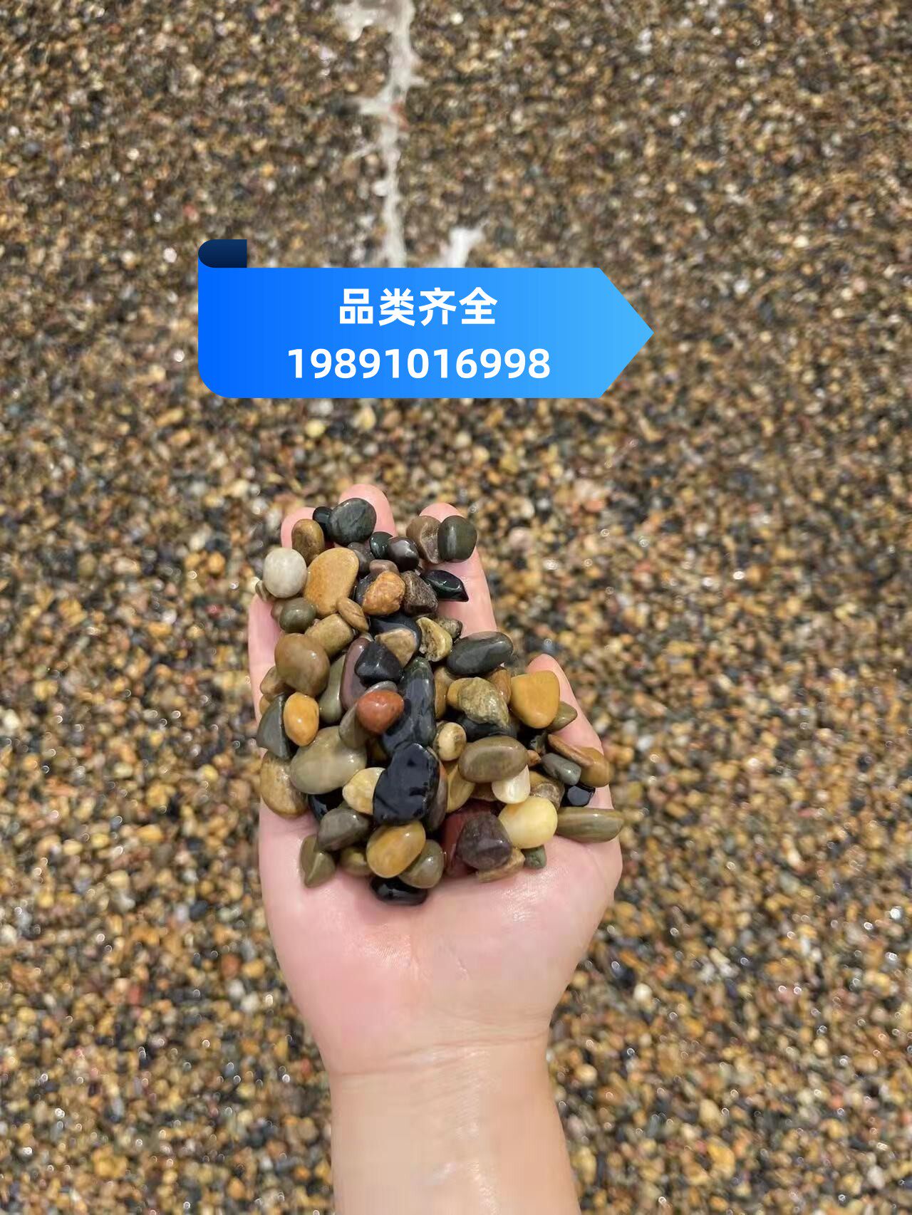 广东雨花石天然鹅卵石五彩小石子鱼缸石头沼泽过滤石滤料地暖豆石