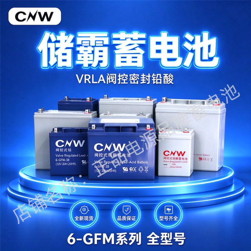 CNW储霸蓄电池6-GFM-100 12V24AH7AH38AH65AH100AH17AH直流屏UPS