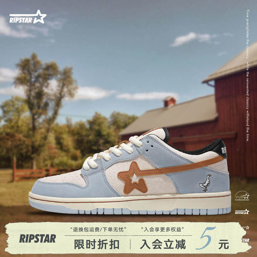 RIPSTAR蓝色休闲板鞋男女款
