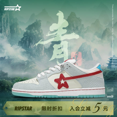 RIPSTAR/爆炸星限定板鞋男女款