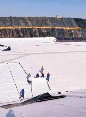 制复合土膜白色HDP防渗膜人工湖鱼池养殖CVC定工蓄水池复E合土工