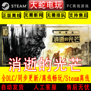 消逝的光芒1信徒增强版 steam离线中文PC版单机游戏全DLC包更新