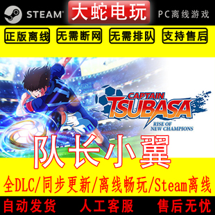 队长小翼 新秀崛起 steam离线中文PC版单机游戏全DLC包更新