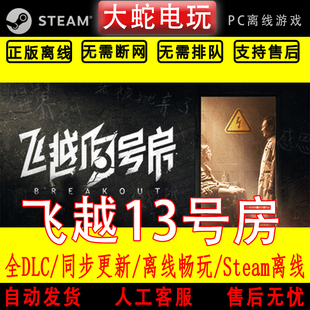 飞越13号房 steam 正版离线 游戏影像互动模拟包更新