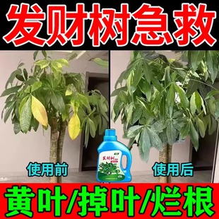 发财树专用肥料营养液盆栽绿植养花卉氮磷钾复合肥植物种植发财