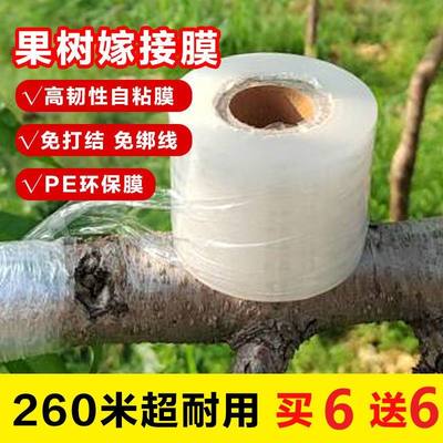 嫁接膜果树嫁接专用膜PE拉伸膜透明免打结塑料膜自粘园林农用薄膜