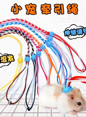仓鼠牵引绳溜鼠绳金丝熊松鼠豚鼠兔子绳荷兰猪小宠物外出绳子用品