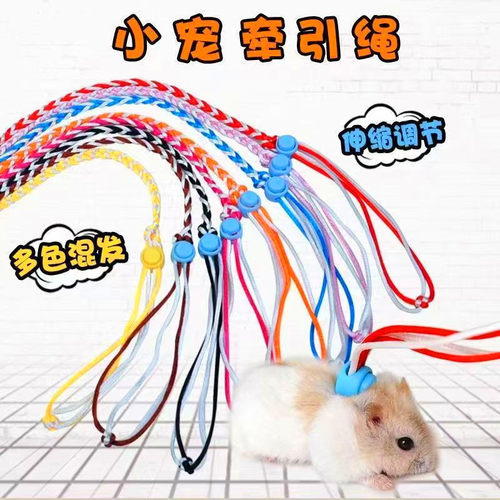 仓鼠牵引绳溜鼠绳金丝熊松鼠豚鼠兔子绳荷兰猪小宠物外出绳子用品