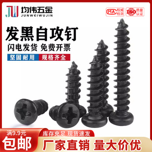 PA圆头十字盘头自攻螺丝钉M1.4M1.7M2M2.3M2.6M3M3.5M4 黑色发黑