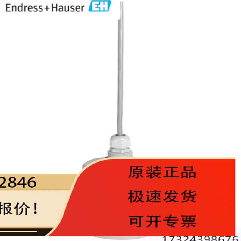 E+H超声波传感器 FDU91-RG2AA超声波物位探头拍前咨【】
