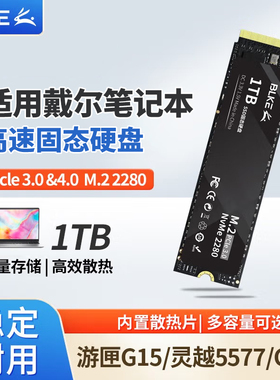 适用戴尔笔记本固态硬盘SSD固态硬盘1t小新PCie4.0G3固态硬盘nvme