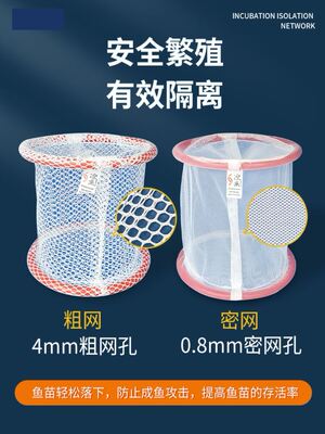 孔雀鱼生产隔离盒幼鱼繁殖孵化隔离网鱼网鱼缸自然漂浮孔雀鱼繁殖