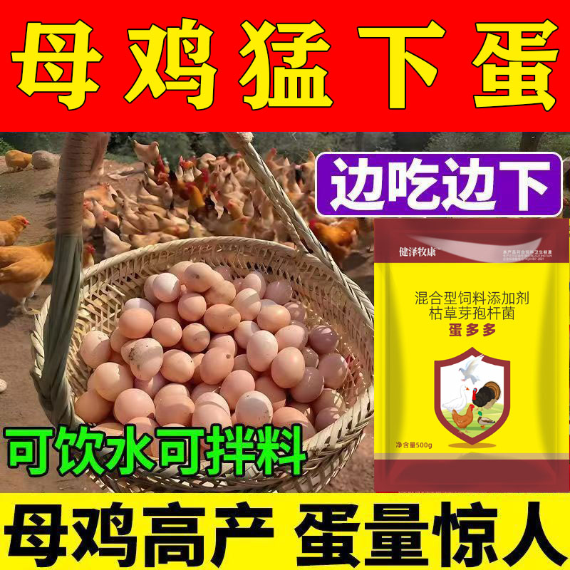 【正品】养鸡神器鸡鸭鹅曾蛋宝催蛋宝鸭子下蛋强力曾蛋宝蛋多多