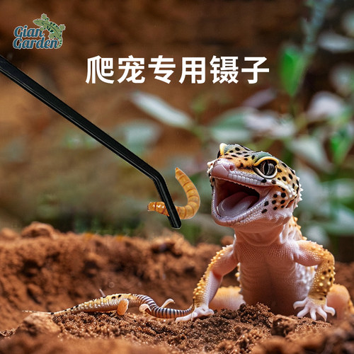 爬宠喂食镊子宠物专用弯头镊子