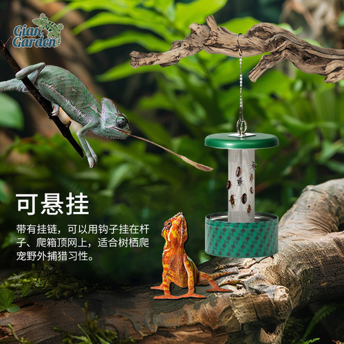 爬宠喂食器昆虫防逃蜥蜴守宫
