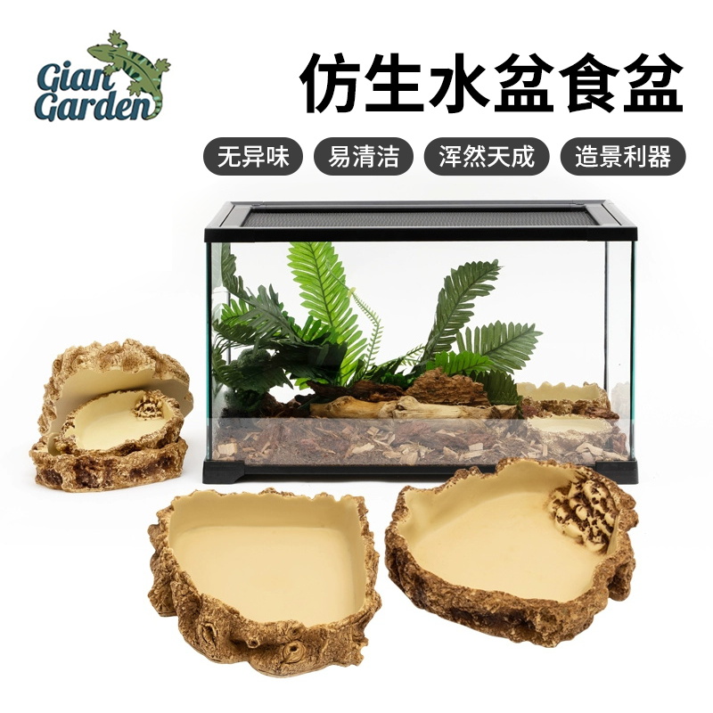 巨人爬宠蜥蜴陆龟食盆角蛙蛇水盆