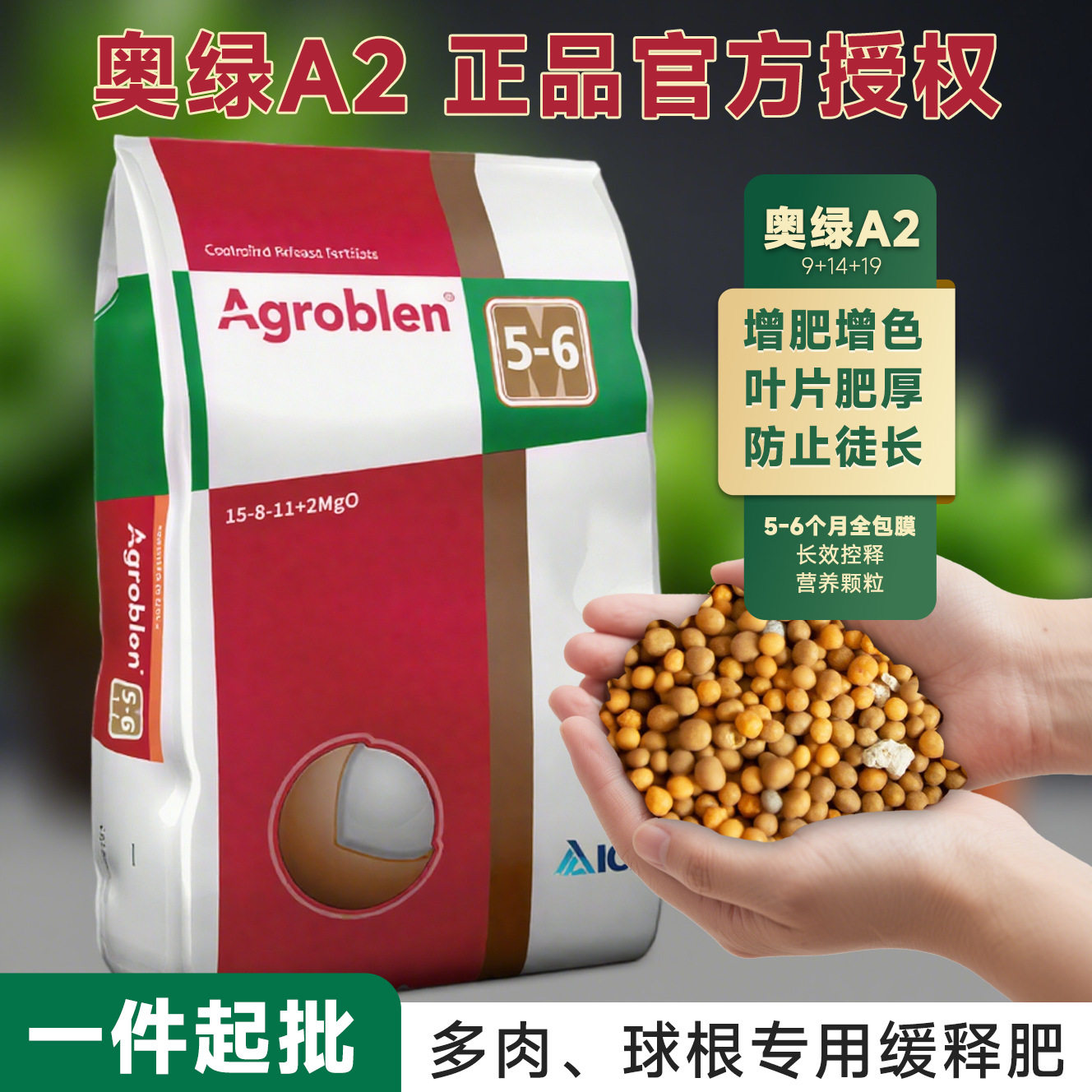 50斤整包奥绿肥A2多肉植物球根