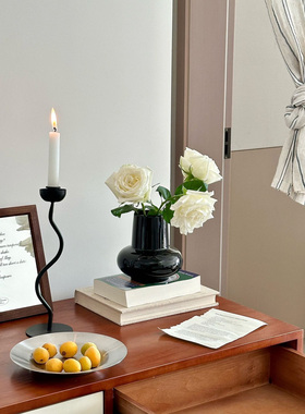 陶瓷花瓶可访问豪华高端水养绿色植物和花卉插图设计小众客厅餐桌