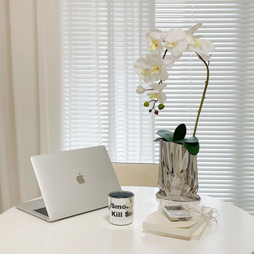 ins仿真花蝴蝶兰银口袋假花装饰