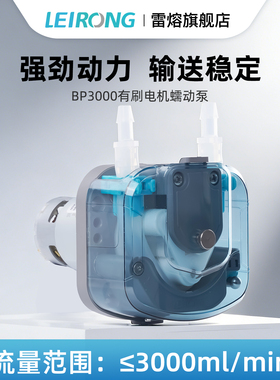 雷熔小型大流量BP3000有刷电机蠕动泵 实验室工业灌装机抽水泵24V