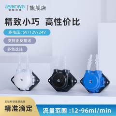 雷熔微小流量BPH蠕动泵自吸滴定12V有刷立式实验室抽水循环泵头