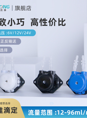 雷熔微小流量BPH蠕动泵自吸滴定12V有刷立式实验室抽水循环泵头