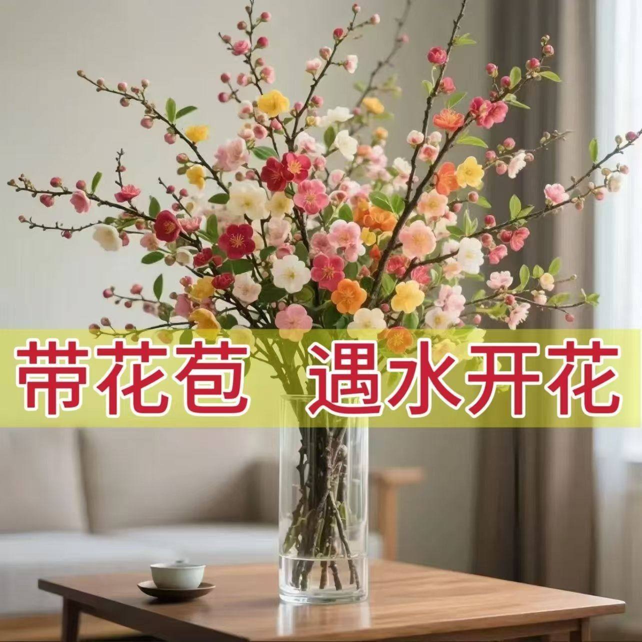 春节开花鲜切梅花鲜枝室内水培干枝腊梅年宵花卉绿植,鲜花速递/花卉仿真/绿植园艺,花材,淘宝优惠券,粉丝福利购,淘宝优惠卷