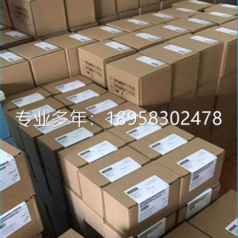 6ES7145-4FF00/4GF00-0AB0ET200 P电子模块