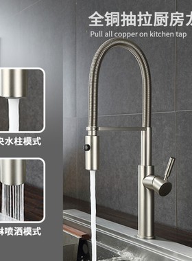 高端全铜抽拉水龙头防溅水厨房水槽菜盆旋转花洒冷热龙头阳台德国