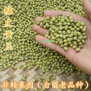 老品种绿皮黄豆本地农家自留青皮土黄豆非转基因自然去壳晒干