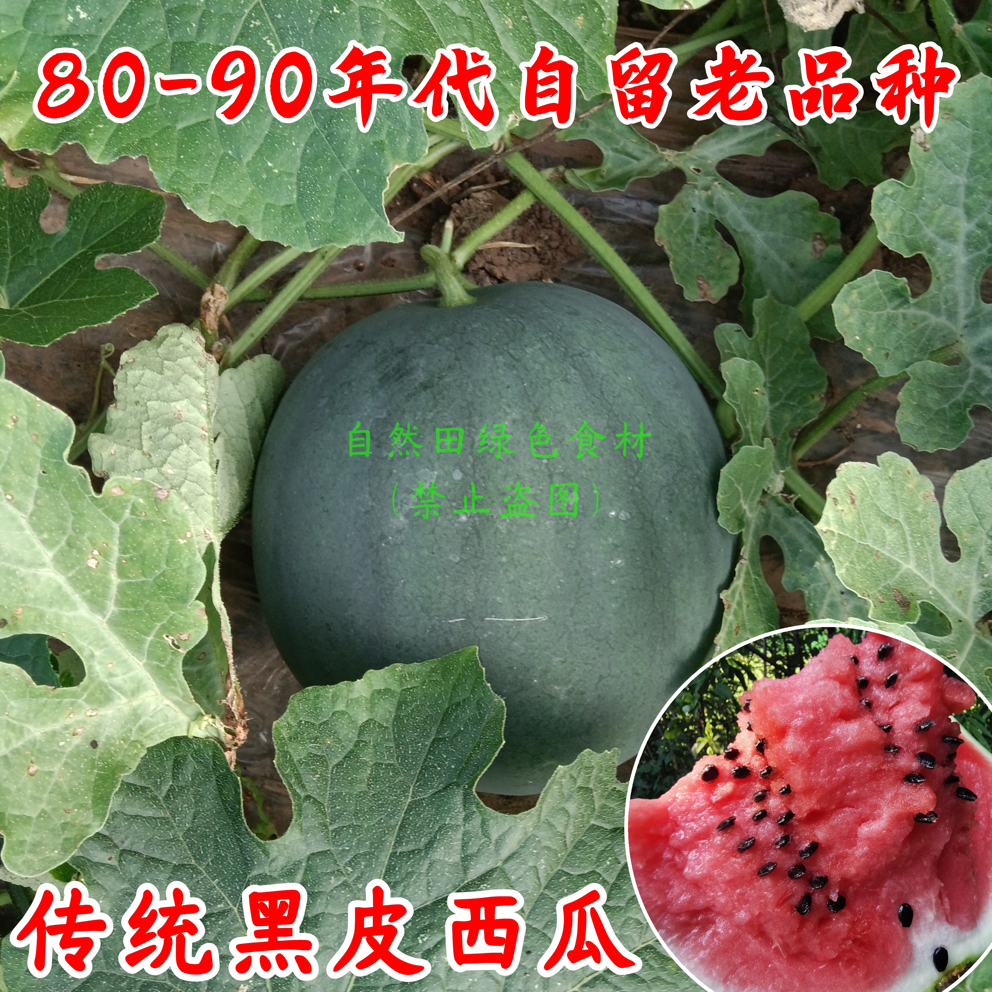 农家种植老品种西瓜清甜爽口